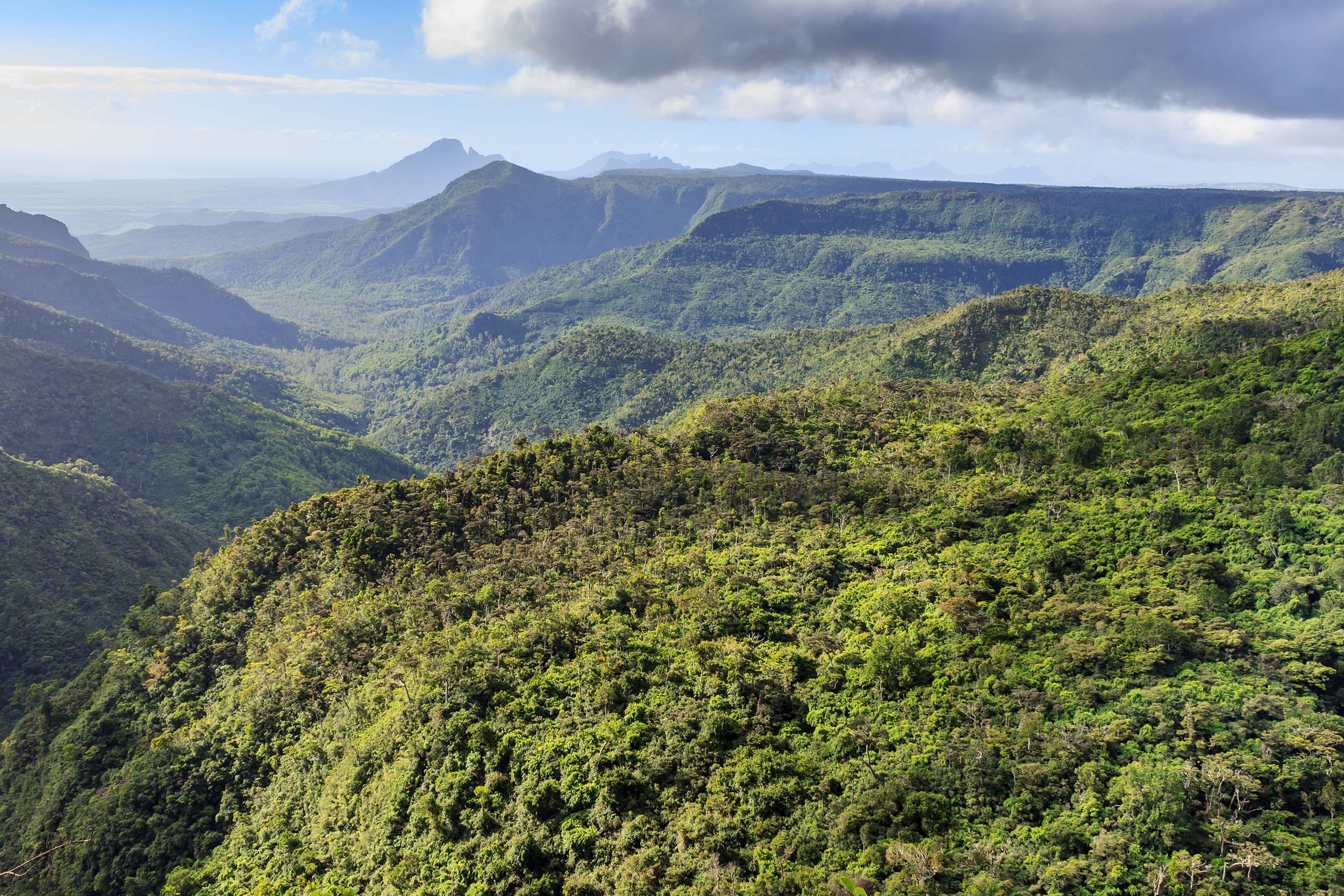 Black River Gorges National Park trail