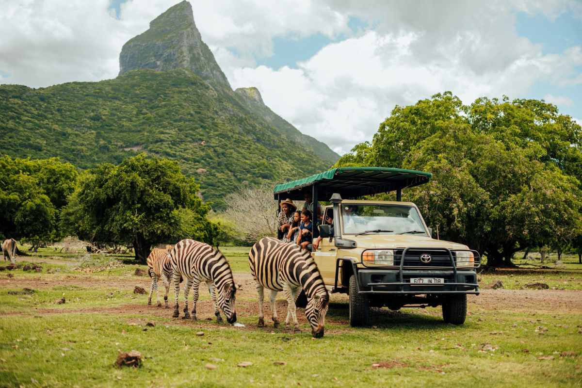 Safari animals at Casela Nature Park
