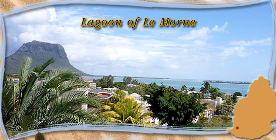 Windsurf Rental in Le Morne - Mauritius